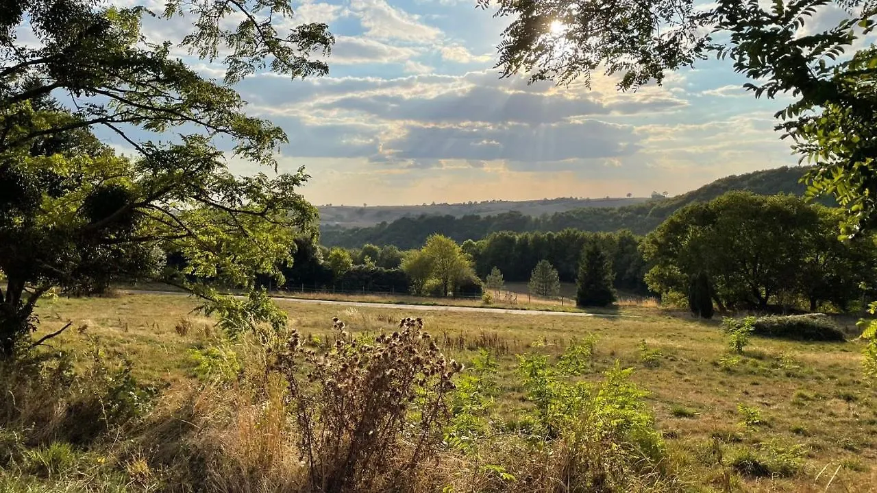 Prázdninový dům Les Juliannes - Gite La Pierre Etoilee Piscine Jardin Paulinet