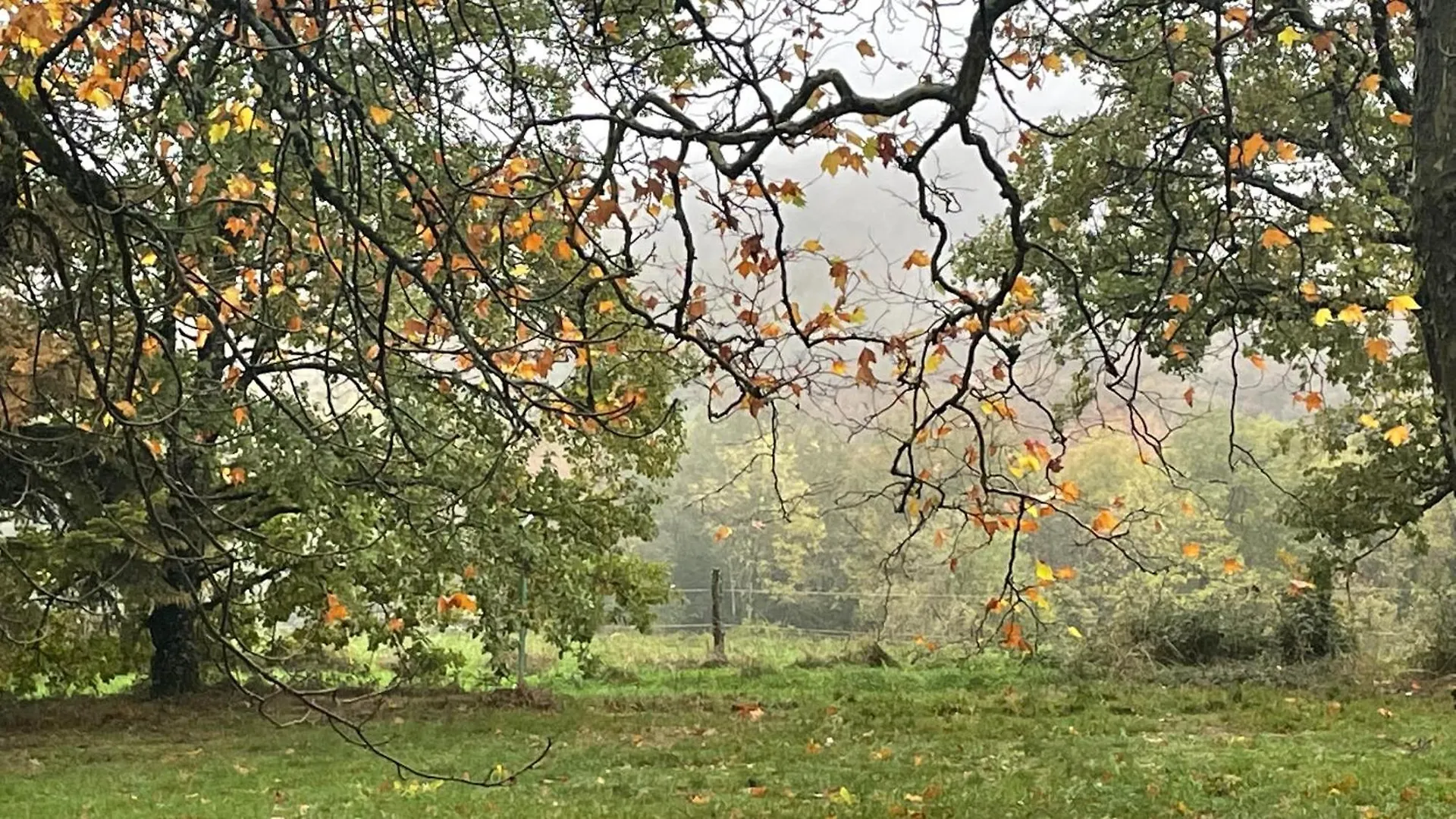 Prázdninový dům Les Juliannes - Gite La Pierre Etoilee Piscine Jardin Paulinet