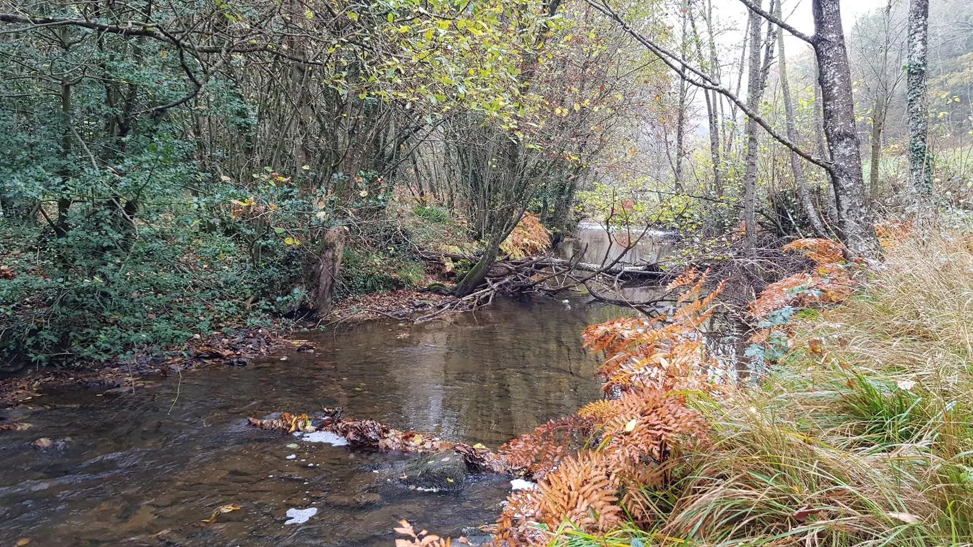 Les Juliannes - Gite La Pierre Etoilee Piscine Jardin Paulinet 0*,